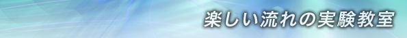活動内容
