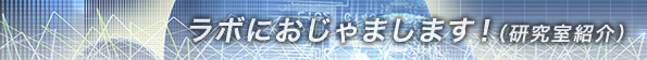 活動内容